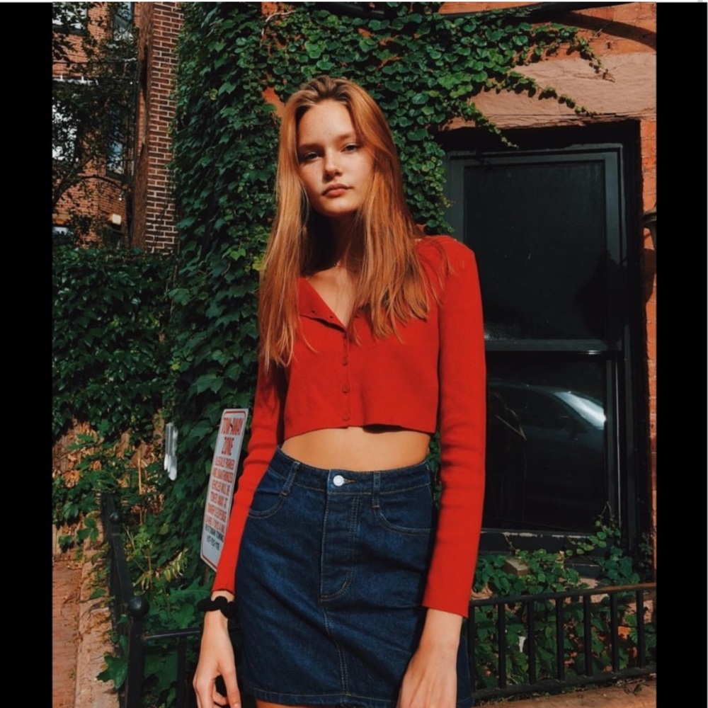 Brandy Melville Cropped Knit